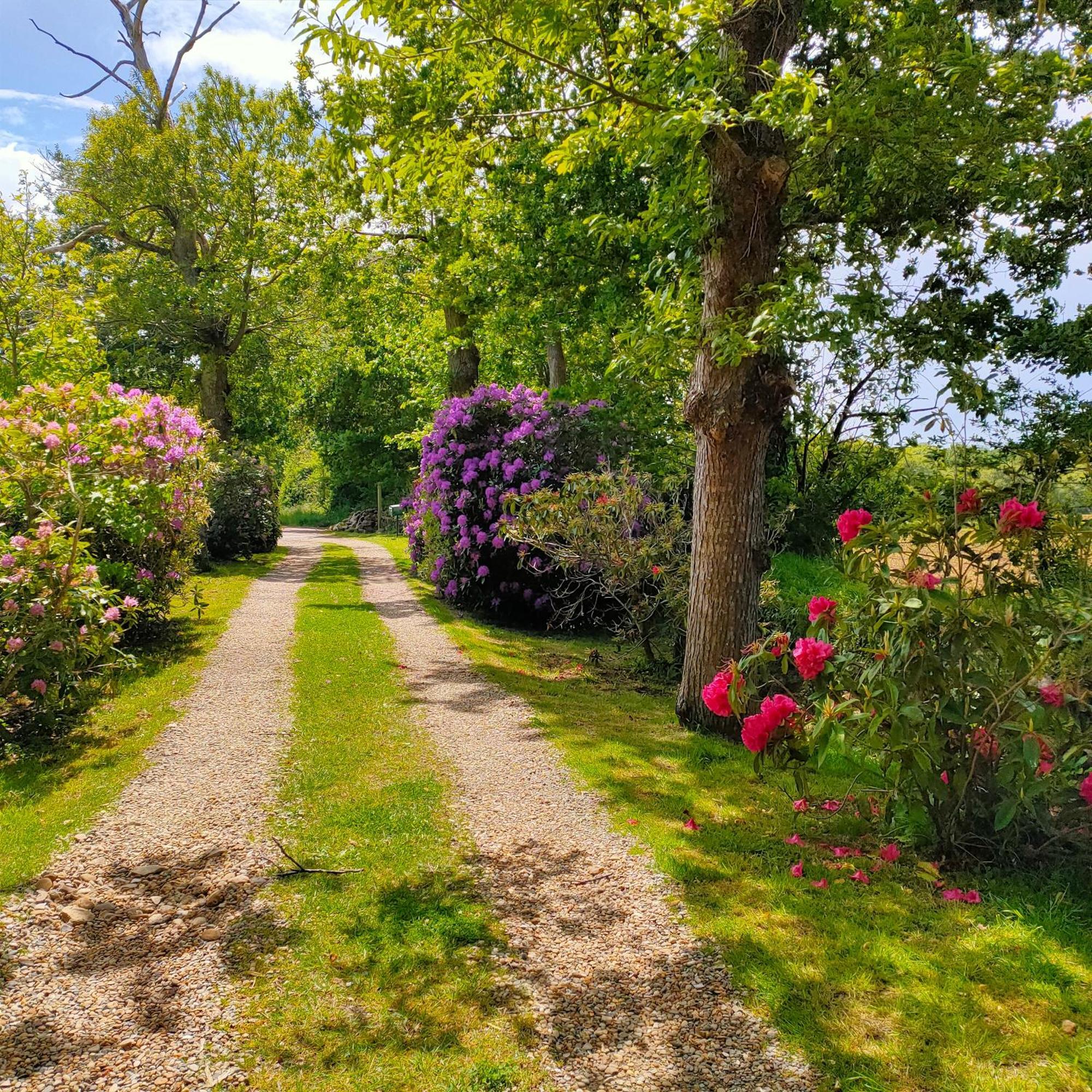 Bed and Breakfast La Ferme De Kerraoul Combrit Zewnętrze zdjęcie